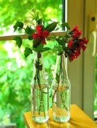 IMG_20200429_1747562
