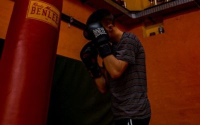 Boxprojekt