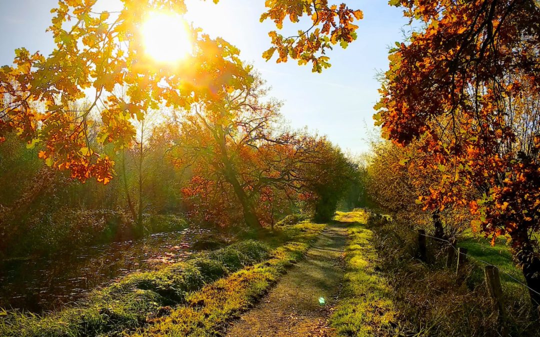 Radtour in den Herbstferien